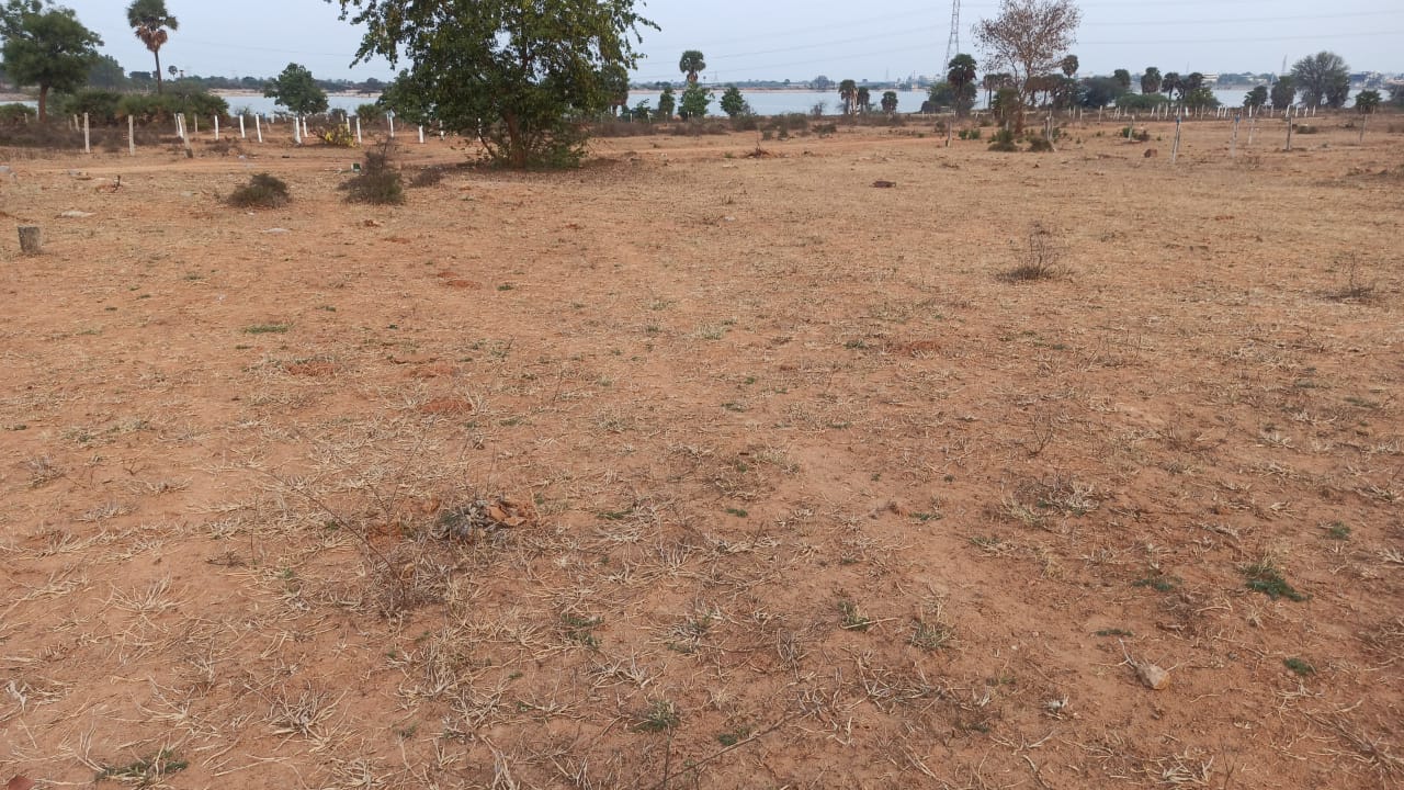 Plot For Resale in Bibinagar Hyderabad  7356436