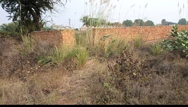 undefined, farukh nagar  100 Sq.Yd. Plot In Farukh Nagar Gurgaon 7357020