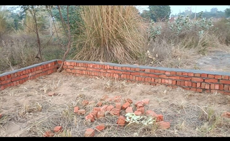 Exterior View, farukh nagar  100 Sq.Yd. Plot In Farukh Nagar Gurgaon 7357020