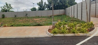 Plot For Resale in Neem Grove At Brigade Orchards Devanahalli Bangalore  7357088