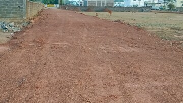 Plot Area in  Plot at Deopuri – for Sale