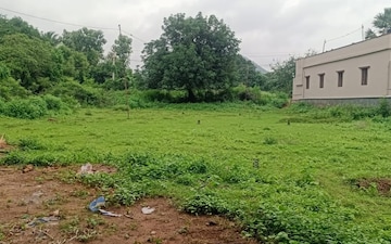 Plot For Sale in Lankelapalem