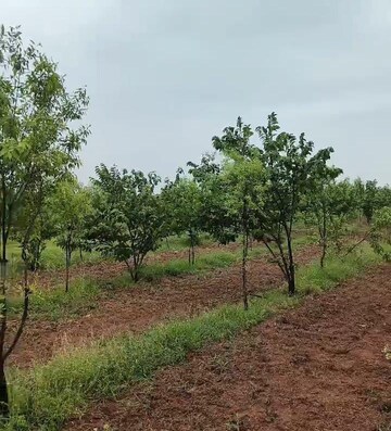  Plot For Sale in Banjara Hills