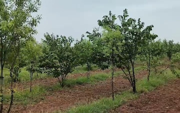 Plot For Sale in Banjara Hills