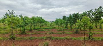  Plot For Sale in Madhura Nagar