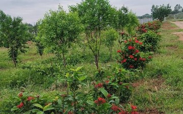 Plot For Sale in Vijayawada Highway