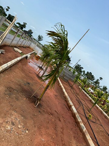  Plot – Exterior View View at Sri Bhumi Eeshaanya, Kankipadu - for Sale