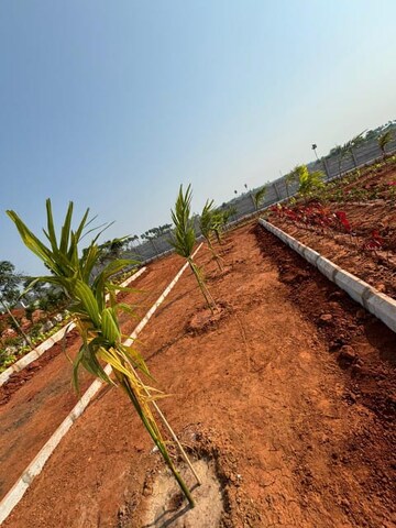 Plot Area in  Plot at Sri Bhumi Eeshaanya, Kankipadu – for Sale