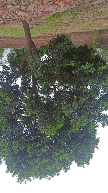  Land – Garden View at Kursi Road - for Sale