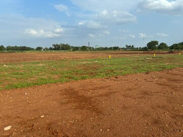 Plot Area in  Plot at Mangalagiri – for Sale