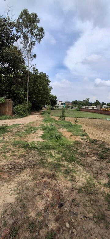 Plot Area in  Plot at Ramnagar – for Sale