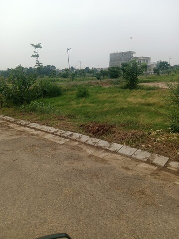  Land For Sale in Altus Prime, North Mullanpur