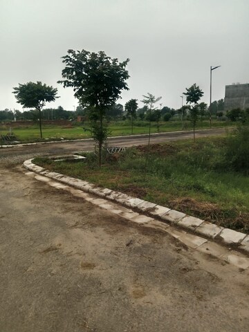 Plot Area in  Land at Altus Prime, North Mullanpur – for Sale