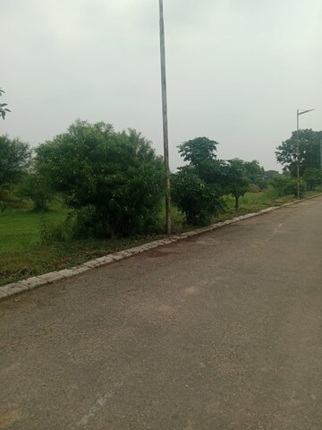 Plot Area in  Plot at Omaxe Lake, North Mullanpur – for Sale