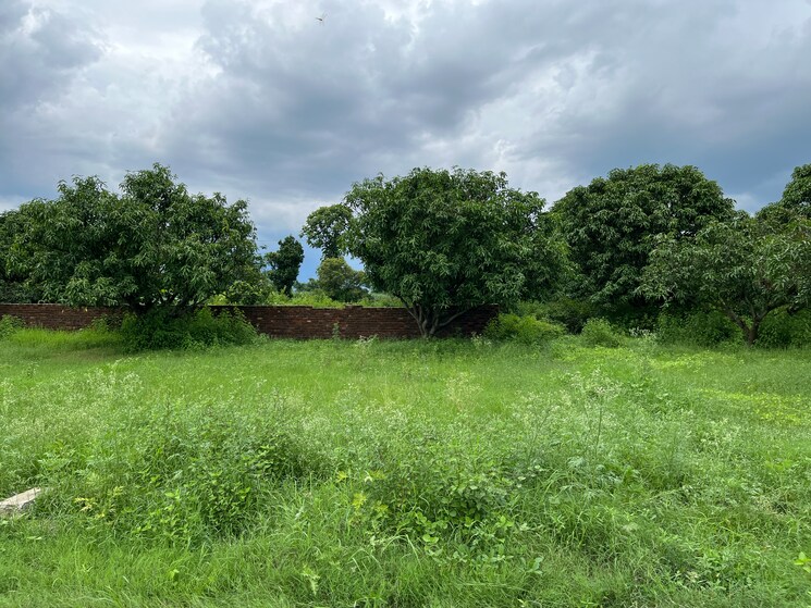 undefined, sahaspur  186 Sq.Yd. Plot In Sahaspur Dehradun 7360088