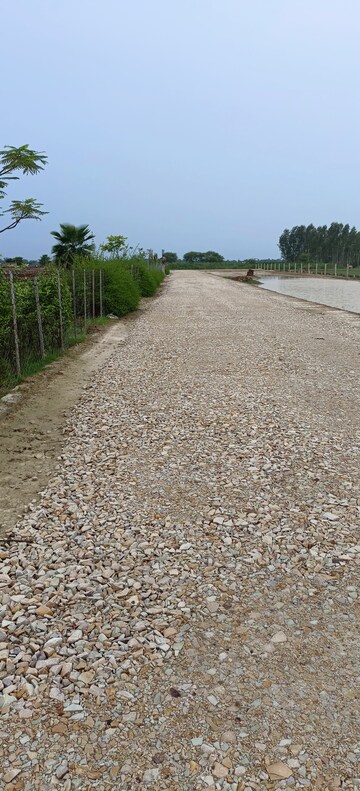 Plot Area in  Plot at Pintail Park City, Sultanpur Road – for Sale