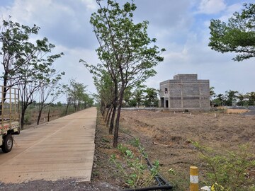 Plot Area in  Plot at PachedA-1 – for Sale