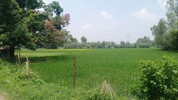  Land For Sale in Sisandi Road