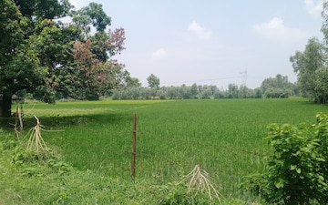 Land For Sale in Sisandi Road