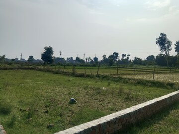 Plot Area in  Plot at Faizabad Road – for Sale