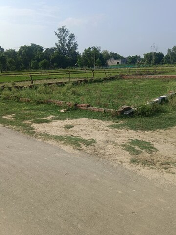 Plot Area in  Plot at Faizabad Road – for Sale