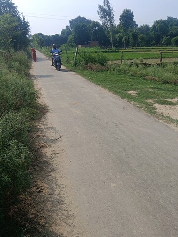 Plot Area in  Plot at Faizabad Road – for Sale