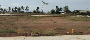 Plot Area in  Plot at Pudukkottai nh – for Sale