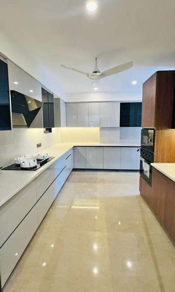 1 BHK Apartment For Rent in Ambience Creacions Sector 22 Gurgaon  7362137