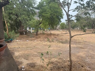 Plot For Resale in Bhavanpur Ahmedabad  7362147