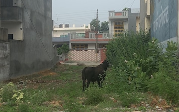 Plot For Sale in Sector 4