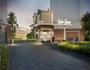 3 BHK Builder Floor For Sale in Sector 9