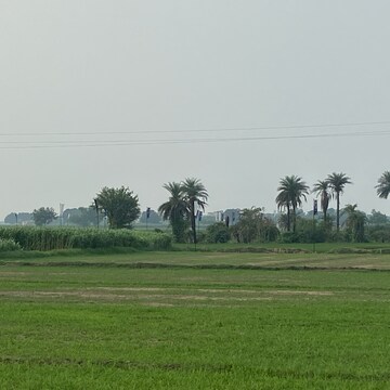 Plot Area in  Land at Banur – for Sale