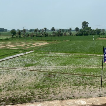  Land For Sale in Banur