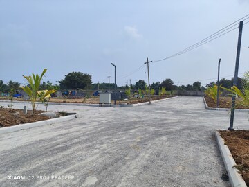  Plot For Sale in Shankarpalli