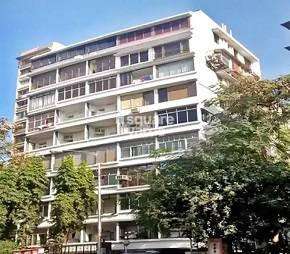 1 BHK Apartment For Rent in Sneha Sadan Apartment Colaba Mumbai  7363912