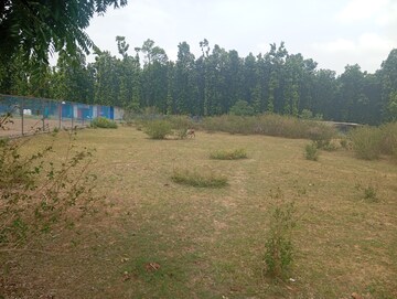 Plot Area in  Plot at Raipur – for Sale