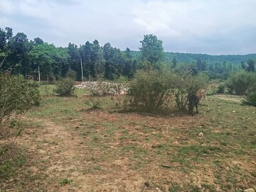 Plot Area in  Plot at Raipur – for Sale