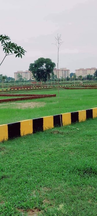 Plot For Resale in Faizabad Road Lucknow  7364181