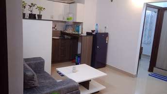 1 BHK Apartment For Rent in Hsr Layout Bangalore  7364384