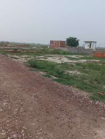 Plot For Resale in Bhopani Village Faridabad  7364530