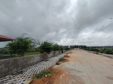 Plot Area in  Plot at Amangal – for Sale