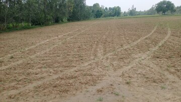 Plot Area in  Land at Sisandi Road – for Sale