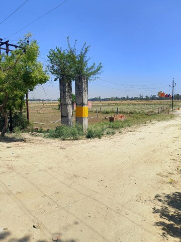 Plot Area in  Plot at Faizabad Road – for Sale