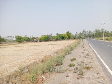 Plot Area in  Land at Nawabganj – for Sale