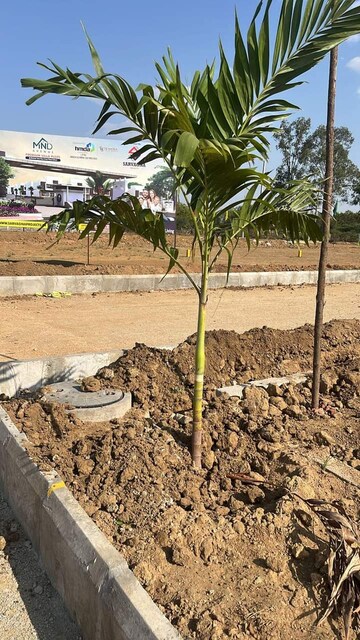 Plot Area in  Plot at Sangareddy – for Sale