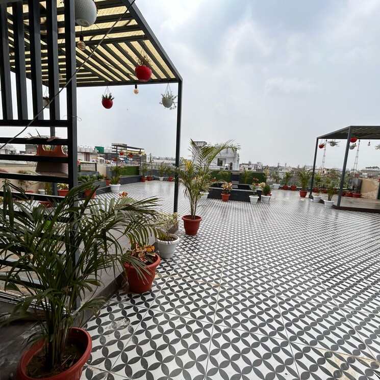 Terrace, chhajjupur 3 Bedroom 1300 Sq.Ft. Builder Floor In Chhajjupur Delhi 7366748