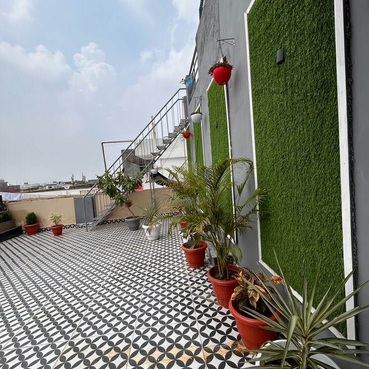 Terrace, chhajjupur 3 Bedroom 1300 Sq.Ft. Builder Floor In Chhajjupur Delhi 7366748
