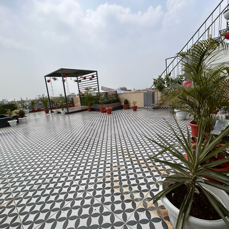 Terrace, chhajjupur 3 Bedroom 1300 Sq.Ft. Builder Floor In Chhajjupur Delhi 7366748