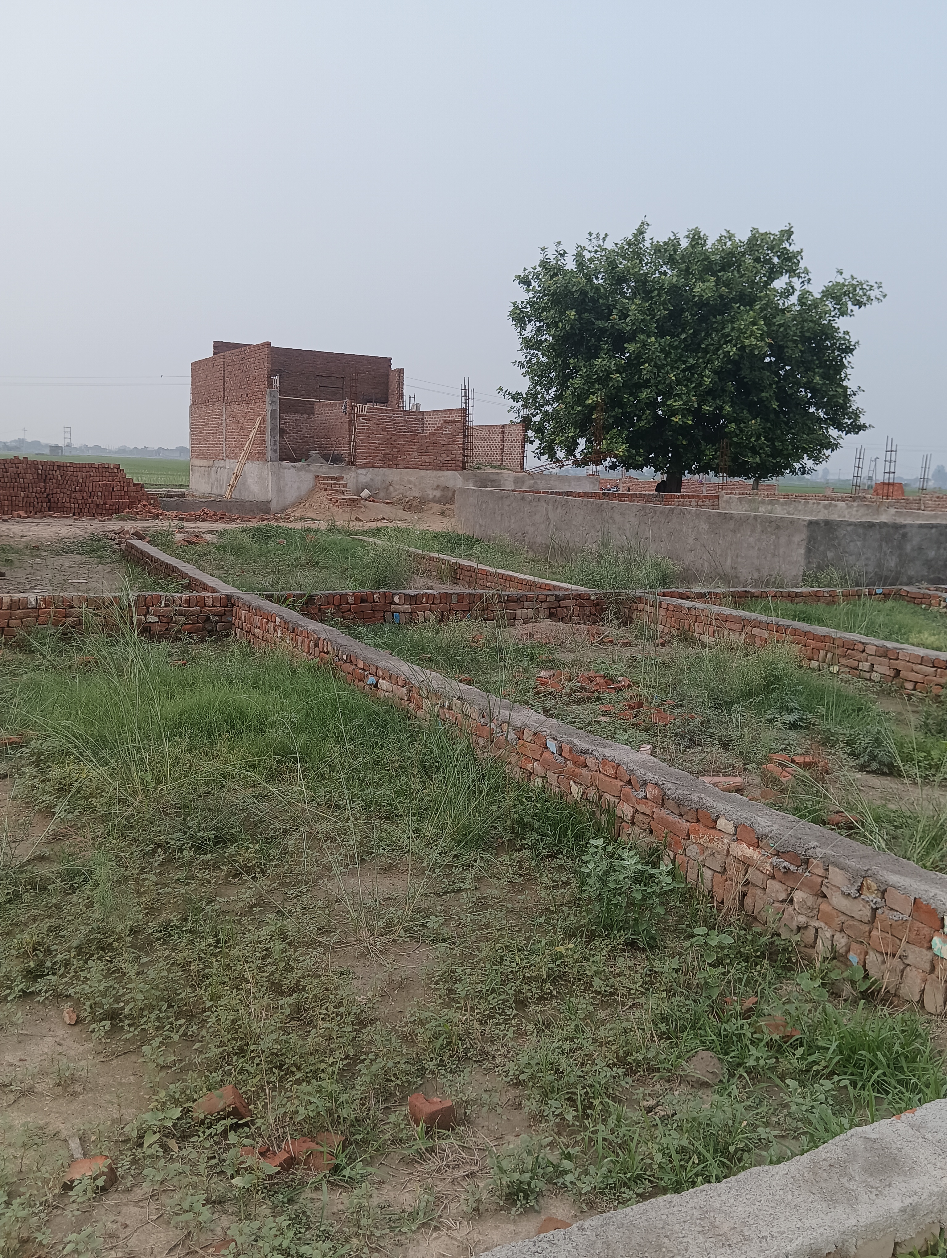 Plot For Resale in Bhopani Village Faridabad  7366867