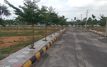 Plot For Sale in Padmarao Nagar